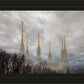 Washington DC Through Life's Storms