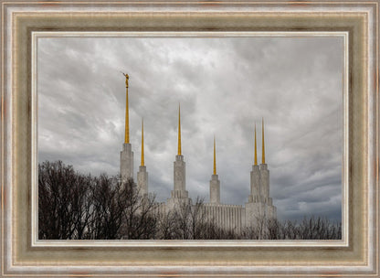 Washington DC Through Life's Storms