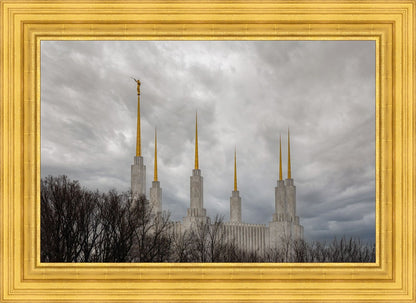 Washington DC Through Life's Storms