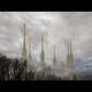 Washington DC Through Life's Storms