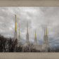 Washington DC Through Life's Storms