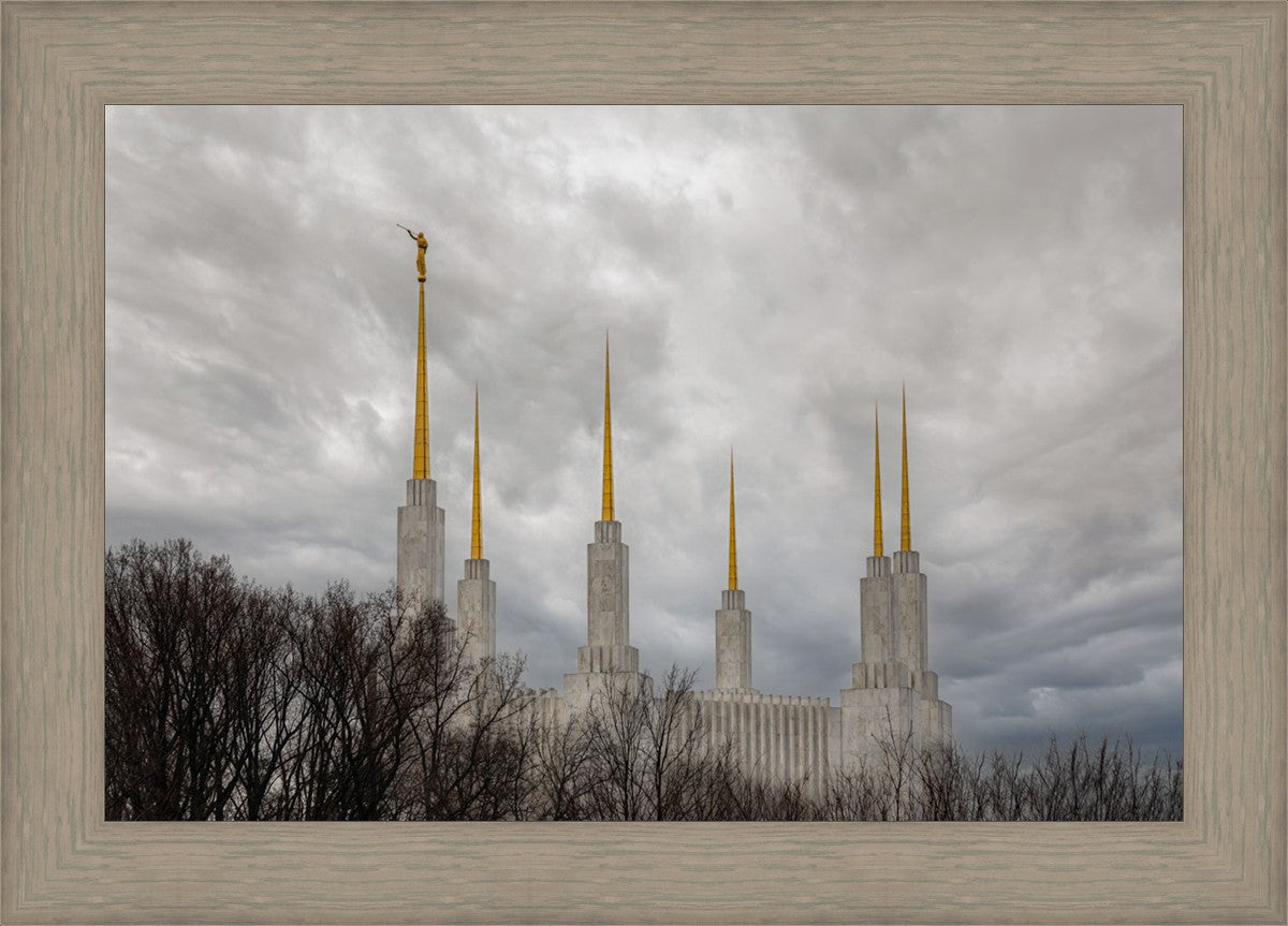 Washington DC Through Life's Storms