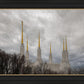 Washington DC Through Life's Storms