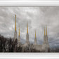 Washington DC Through Life's Storms