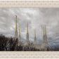 Washington DC Through Life's Storms