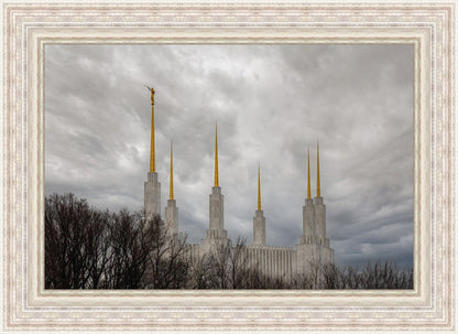 Washington DC Through Life's Storms