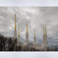 Washington DC Through Life's Storms
