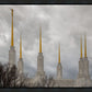 Washington DC Through Life's Storms