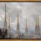 Washington DC Through Life's Storms