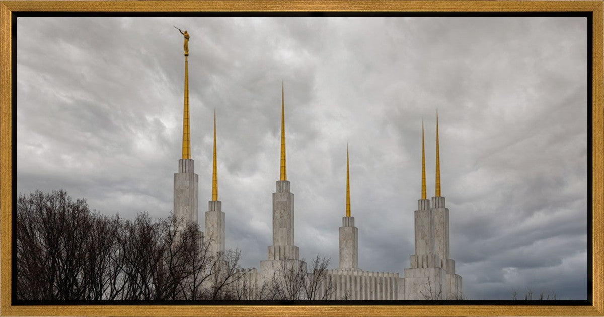 Washington DC Through Life's Storms Gallery Wrap