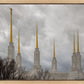 Washington DC Through Life's Storms