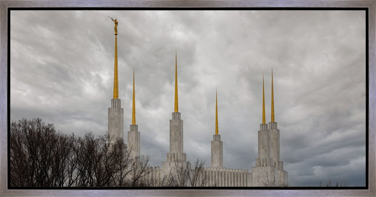 Washington DC Through Life's Storms Gallery Wrap