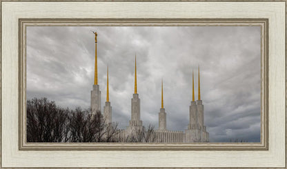 Washington DC Through Life's Storms