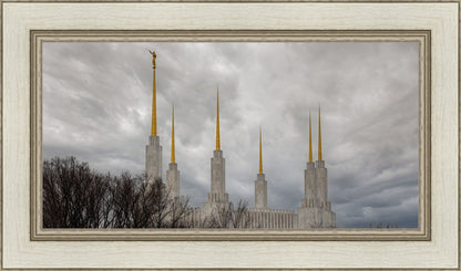 Washington DC Through Life's Storms