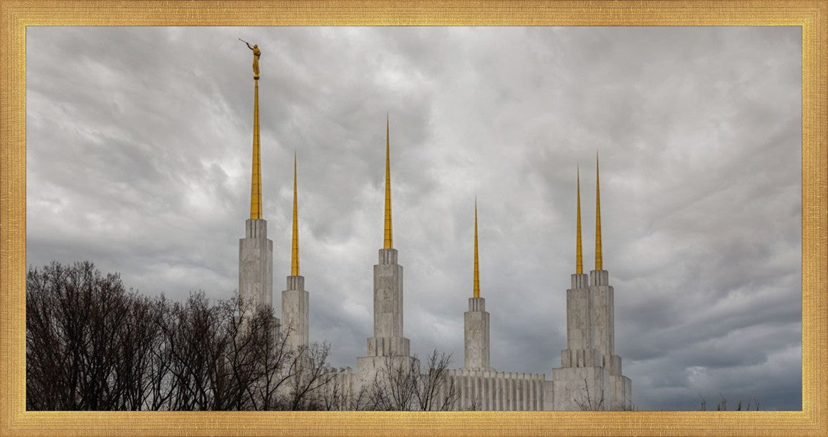 Washington DC Through Life's Storms