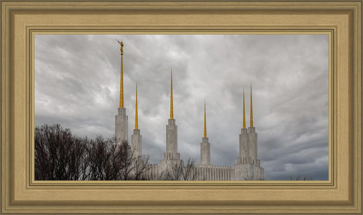 Washington DC Through Life's Storms