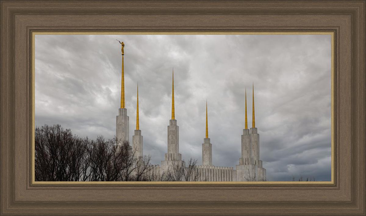 Washington DC Through Life's Storms