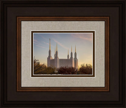 Washington DC Fall Skies