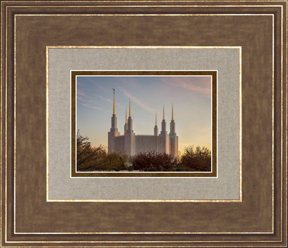 Washington DC Fall Skies