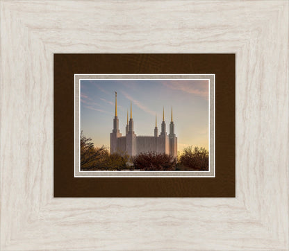 Washington DC Fall Skies