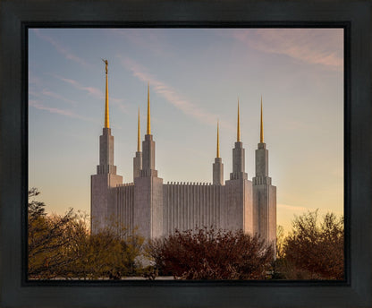 Washington DC Fall Skies