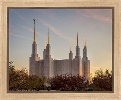 Washington DC Fall Skies