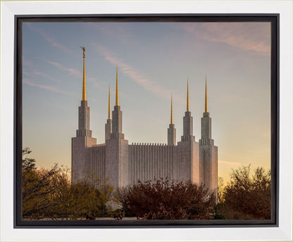 Washington DC Fall Skies