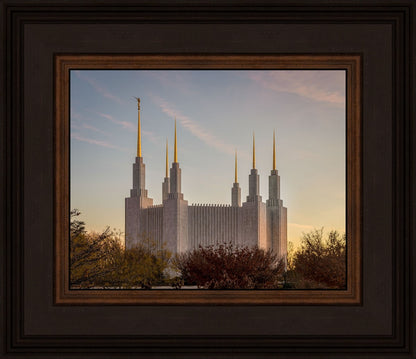 Washington DC Fall Skies