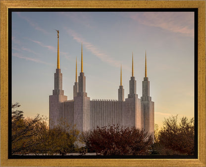 Washington DC Fall Skies