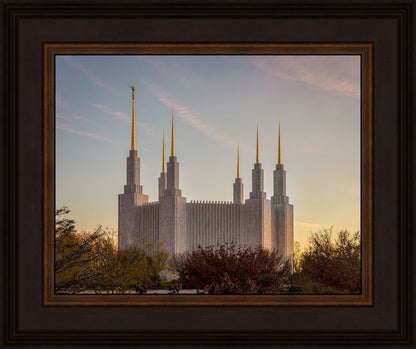 Washington DC Fall Skies