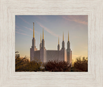 Washington DC Fall Skies