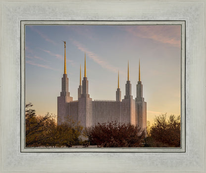 Washington DC Fall Skies