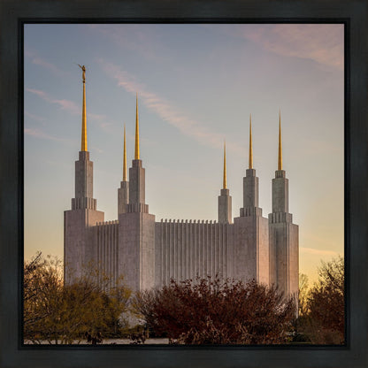 Washington DC Fall Skies