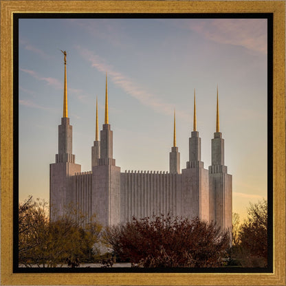 Washington DC Fall Skies