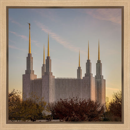 Washington DC Fall Skies