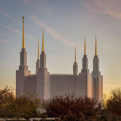 Washington DC Fall Skies
