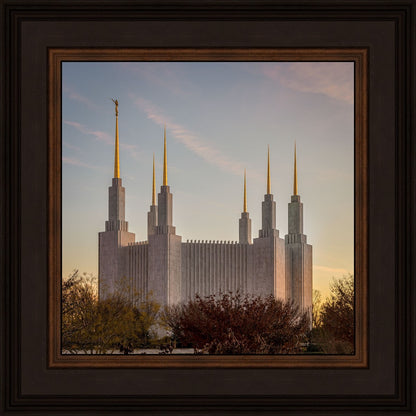 Washington DC Fall Skies