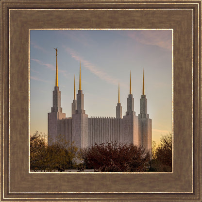 Washington DC Fall Skies