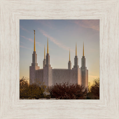 Washington DC Fall Skies