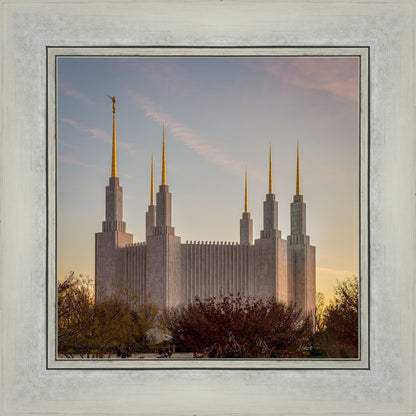 Washington DC Fall Skies