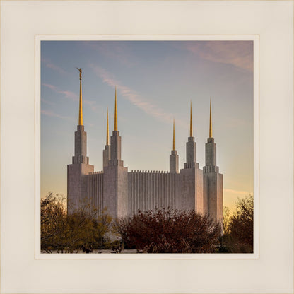 Washington DC Fall Skies