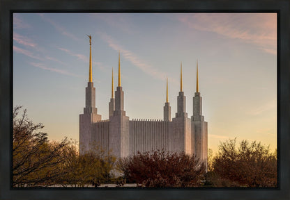 Washington DC Fall Skies
