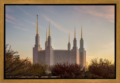 Washington DC Fall Skies