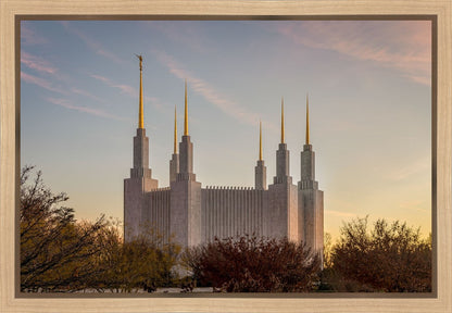 Washington DC Fall Skies