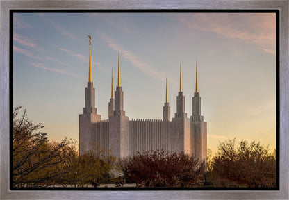 Washington DC Fall Skies