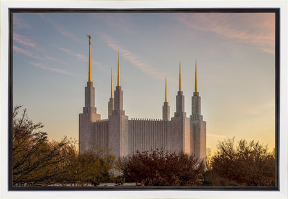 Washington DC Fall Skies