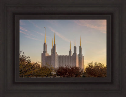 Washington DC Fall Skies