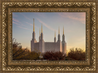 Washington DC Fall Skies