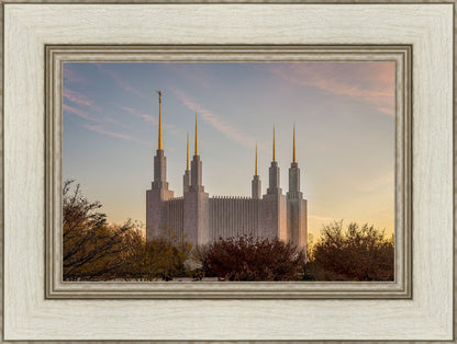 Washington DC Fall Skies