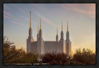 Washington DC Fall Skies